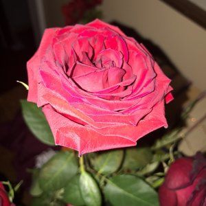 Meet your Posher, Chloe